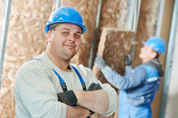 Best Geographic-Specific Insulation Services in Laingsburg, MI