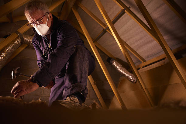 Best Eco-Friendly Insulation in Laingsburg, MI